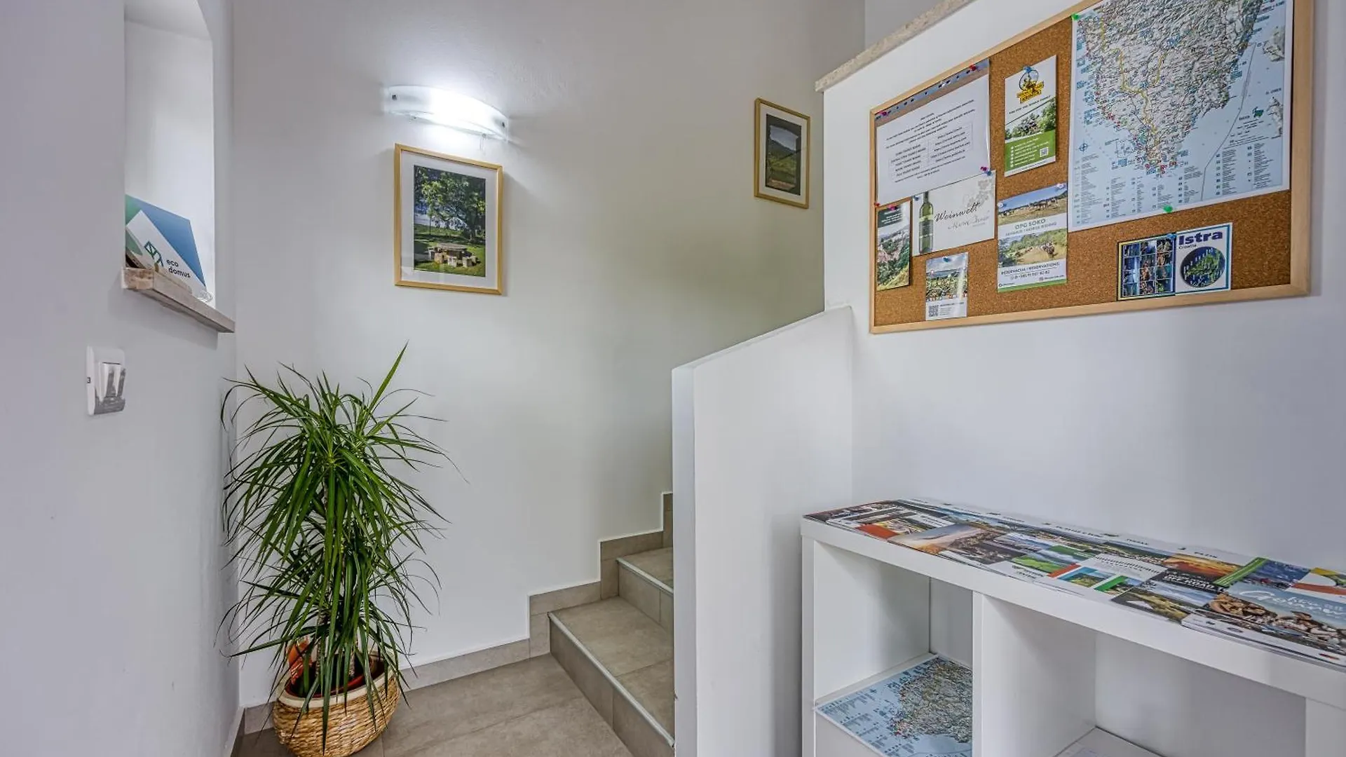 Lavanda - Enjoy Springtime In Nature & Explore Istria Tinjan